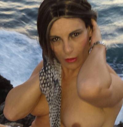 TRANS ALBA CATALANA NOVEDAD