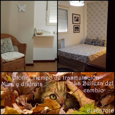 CÁLIDAS HABITACIONES EN GIJÓN