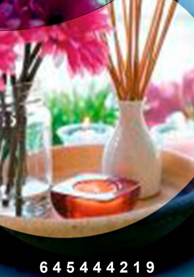 ADAM, TE DARÁ PLACER LOS MASAJES YONI Y LIGAM