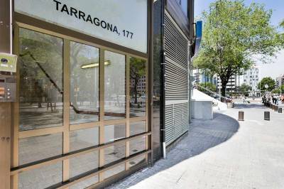 LA SUITE BARCELONA BUSCA SEÑORITAS DE ALTO STANDING