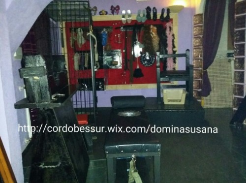 AMA VOCACIONAL Y EXPERTA EN BDSM PARA PRINCIPIANTES Y PARA A