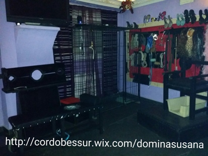 AMA VOCACIONAL Y EXPERTA EN BDSM PARA PRINCIPIANTES Y PARA A