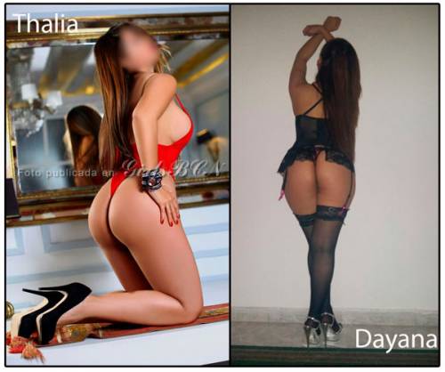 AQUI ENCONTRARAS LAS MEJORES..NEW THEMON 24 H