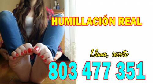 DOMINA HUMILLA. QUIERO VER UNA POLLA DENTRO DE TU BOCA, ESCL