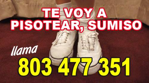 DOMINA TE HUMILLA, TE QUIERO A CUATRO PATAS Y CON EL CULO BI