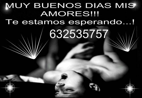 NOVEDAD «LUNA» PRIMERA VEZ EN CAMBRILS!!