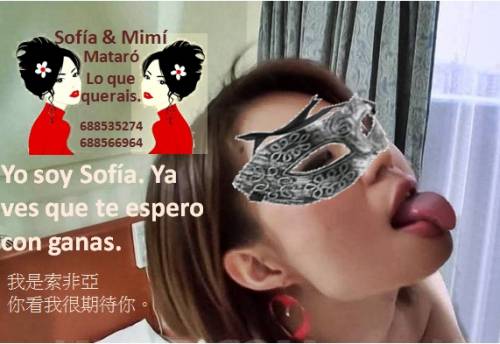 GATITA ASIÁTICA, DE CUERPITO ENCANTADOR