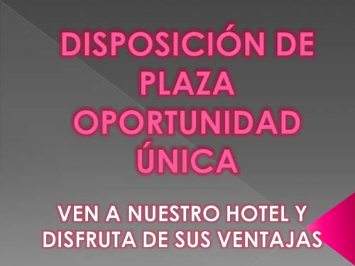 DISPONIBILIDAD DE PLAZA