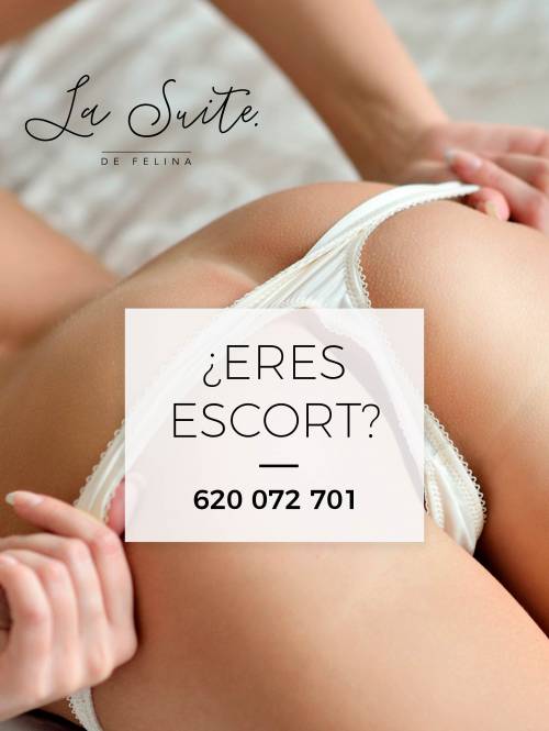 PLAZA EN LA SUITE BCN PARA NAVIDAD