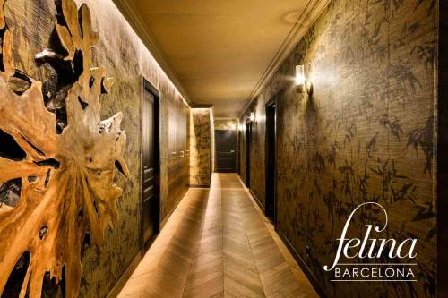 MWC – PLAZA EN BARCELONA
