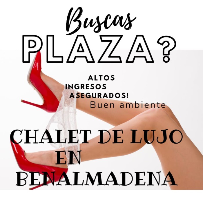 NOVEDAD ALTOS INGRESOS CHALET DE LUJO