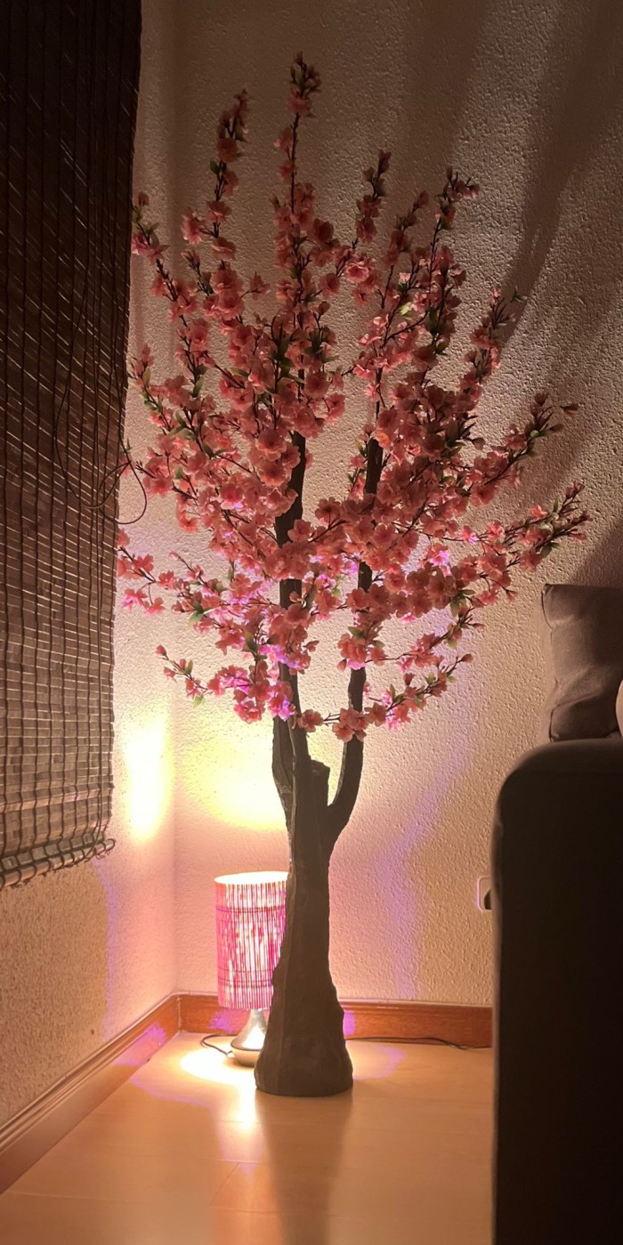 Quiromasajista titulado