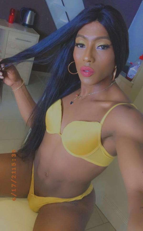 Michelle Paola latina con 20ctm x 6Pulgadas gatita a tus pies XL