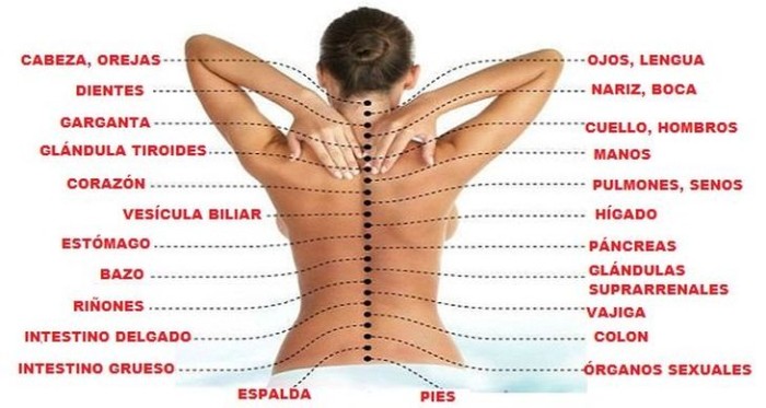 Massjes profesionales para mujeres de todas las ed