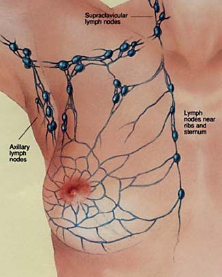 Massjes profesionales para mujeres de todas las ed