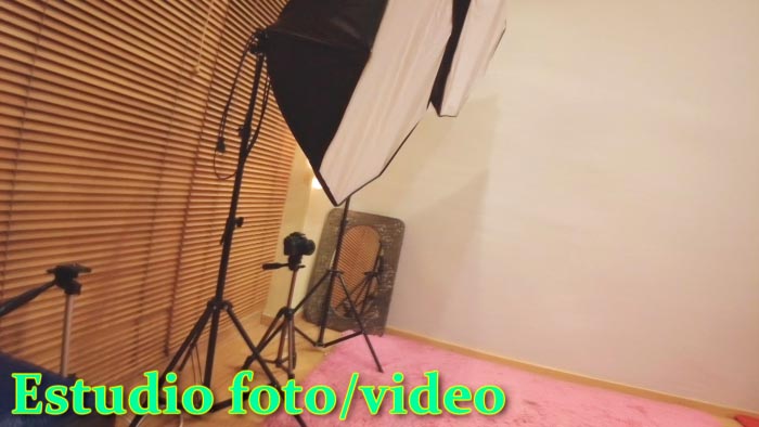 Publicista