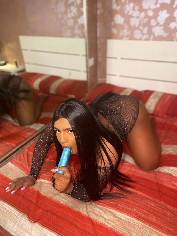 HERMOSA TRANS VERSATIL,CAÑERA