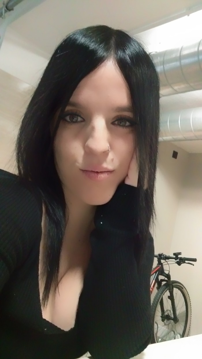 Española 25, tamaño mini, embarazada