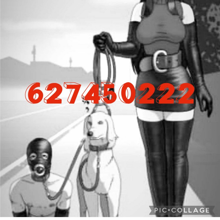 AMA THAI amplia perrera