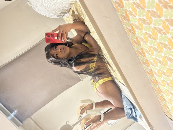 Michelle Paola latina con 20ctm x 6Pulgadas gatita a tus pies XL