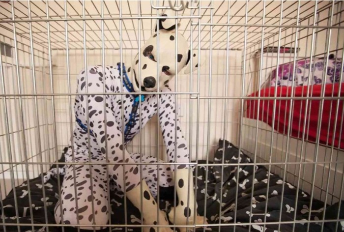 Guardería transespecie ama