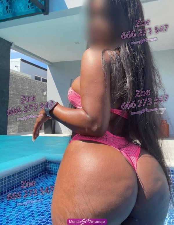 máxima implicación