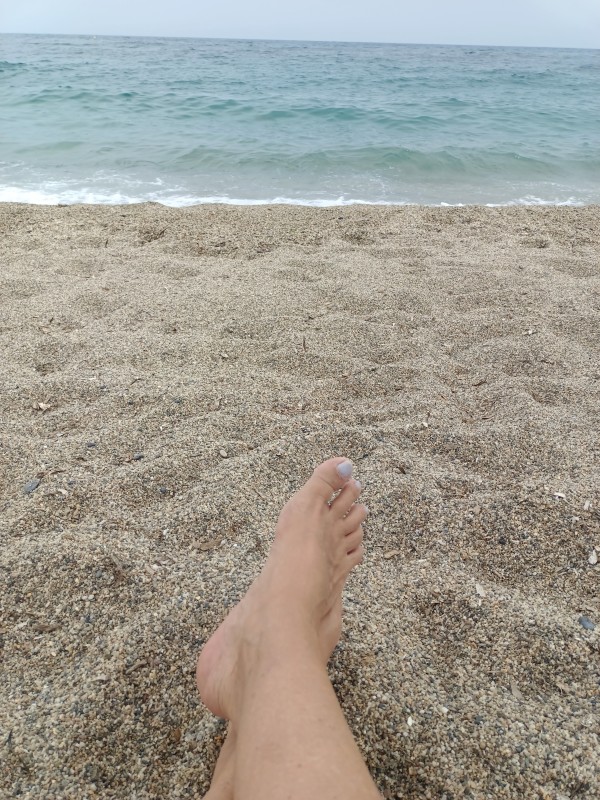 Ama profesional elijo Loser Pagafantas Financial D