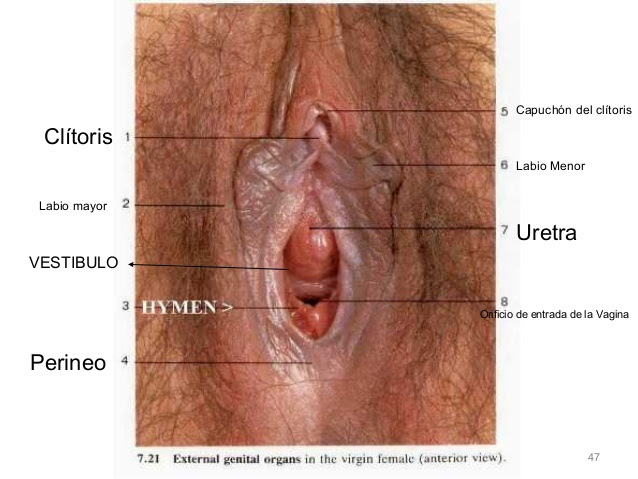 Masaje tantrico sensitivo para mujeres