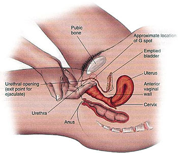 Masaje tantrico sensitivo para mujeres