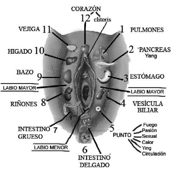 Masaje tantrico sensitivo para mujeres