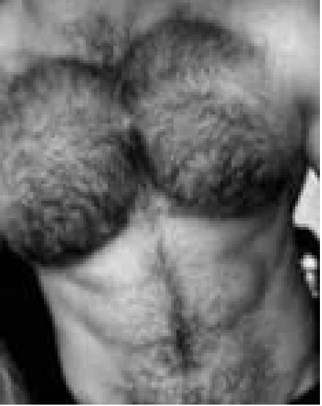 macho dotado y peludo