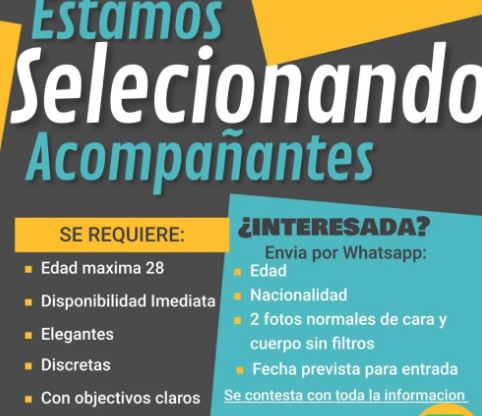 BUSCO CHICA ESCORT NO DUDE INFORMATE