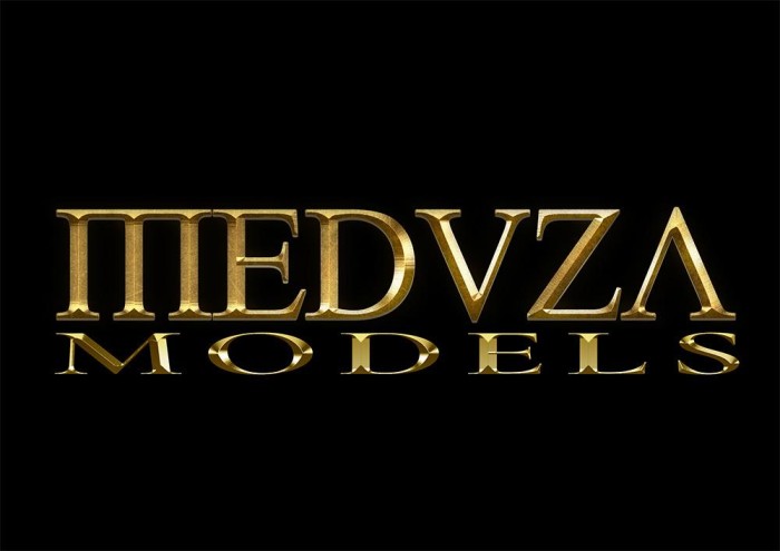 URGEN SEÑORITAS ESCORTS PARA PLAZA TURNO O 24H