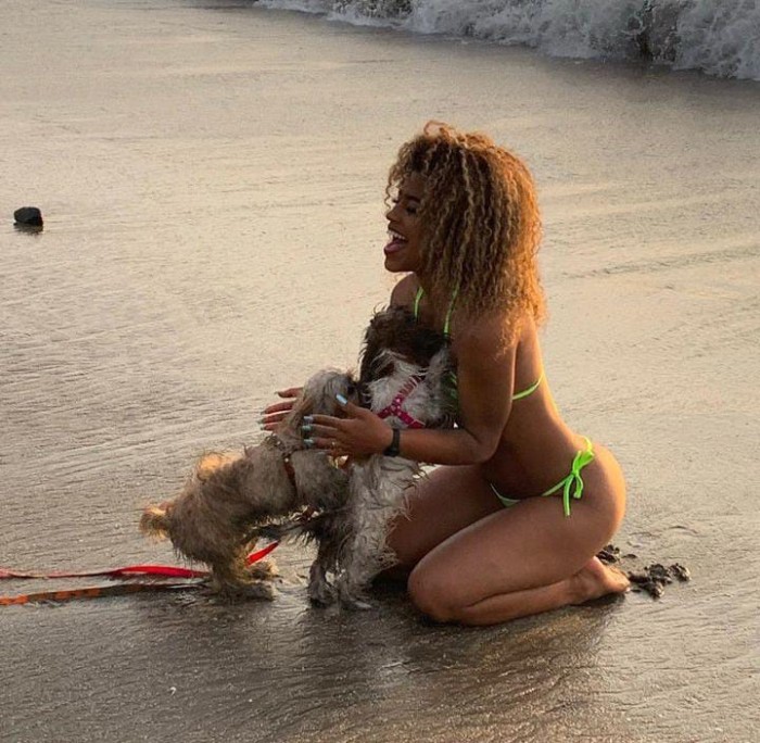 Vicky novedad sin engaños