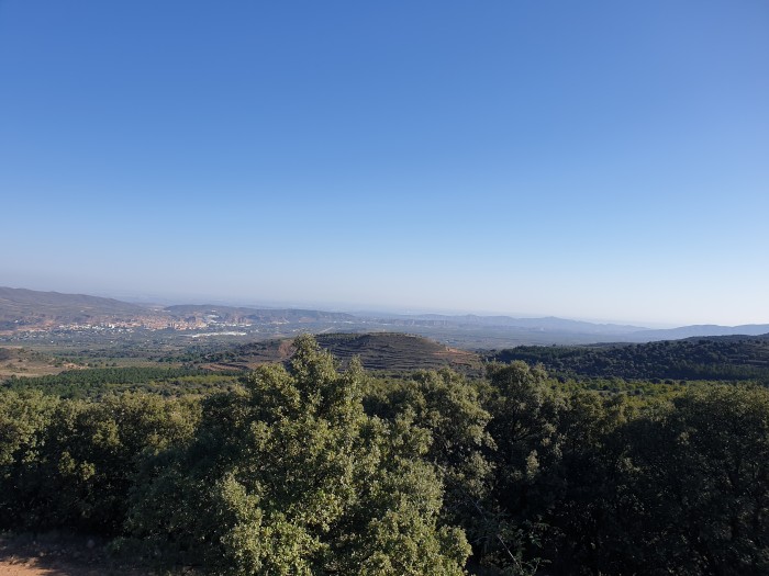 Fetichismo de pies