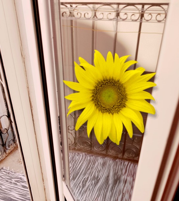 Casa de relax para chicas independientes 24hrs