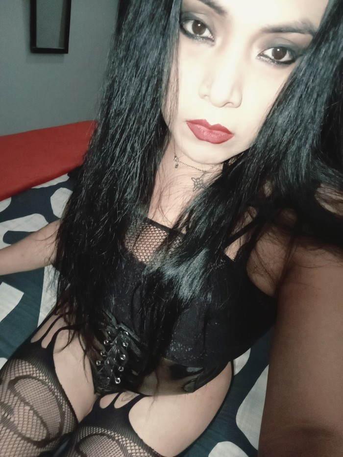 TRANS LATINA