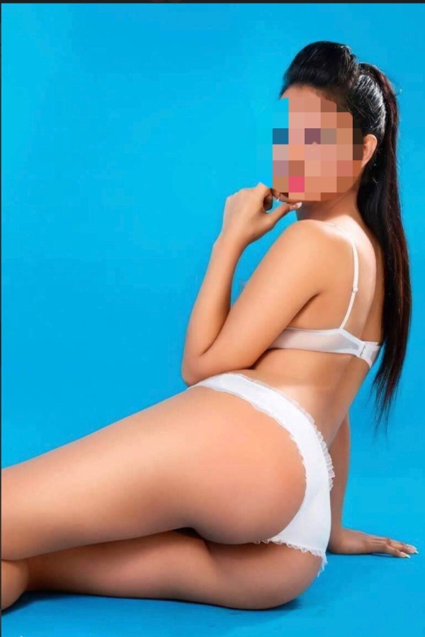 Dulce bruna latina