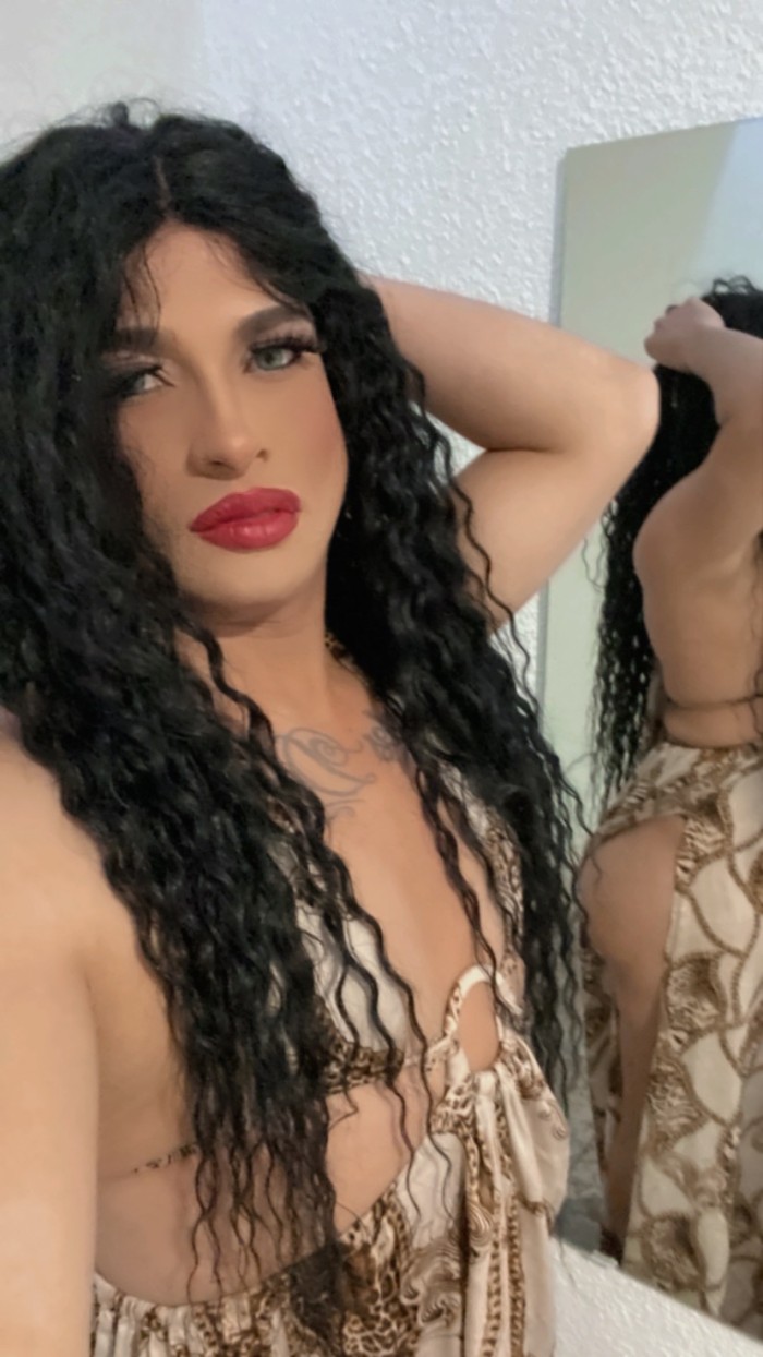 Trans latina