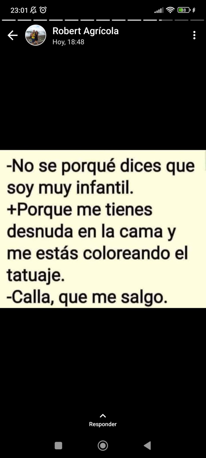 Para no profesionales