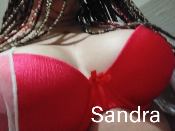 Novedad recién llegada