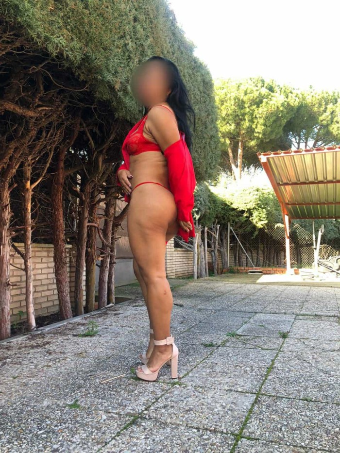 PALOMA…..TODA LA NOCHE CERCA DE TI