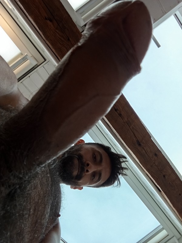 Machote Activo para Pasivos Sumisos