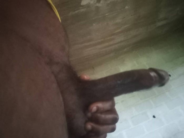 Pollon Africano 24hrs