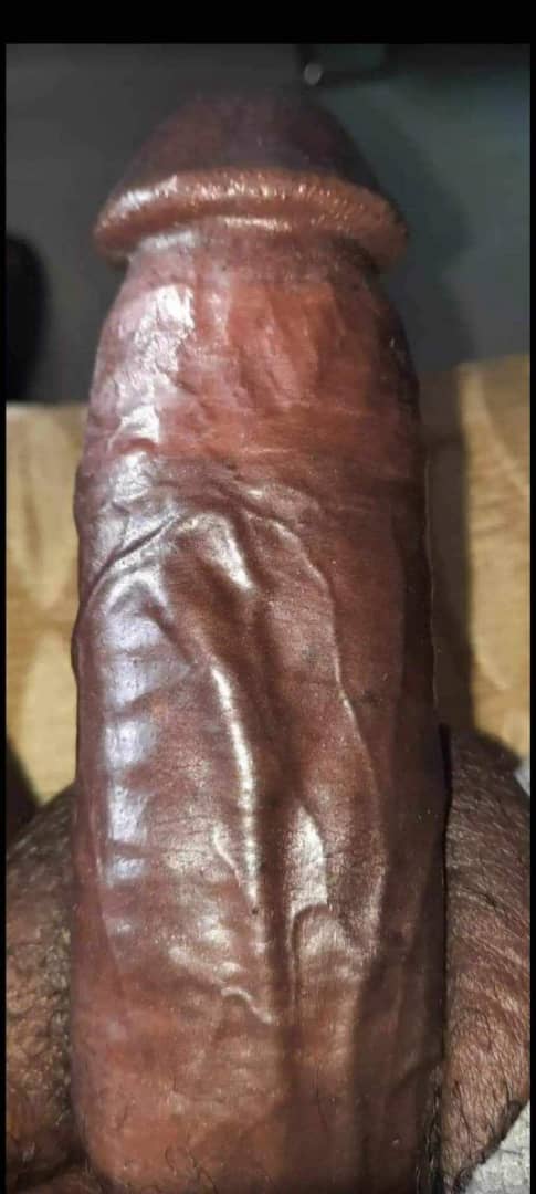 Pollon Africano 24hrs