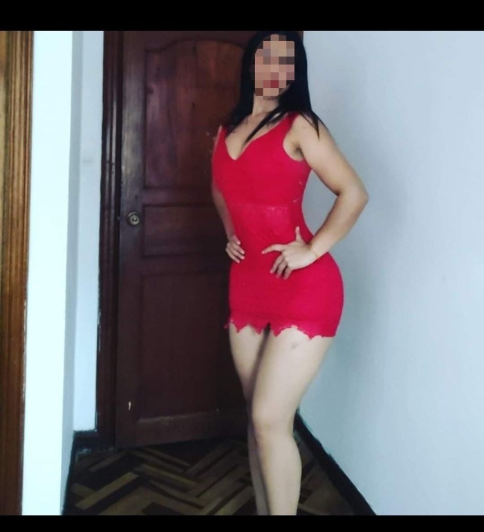 FIESTERA NOVEDAD