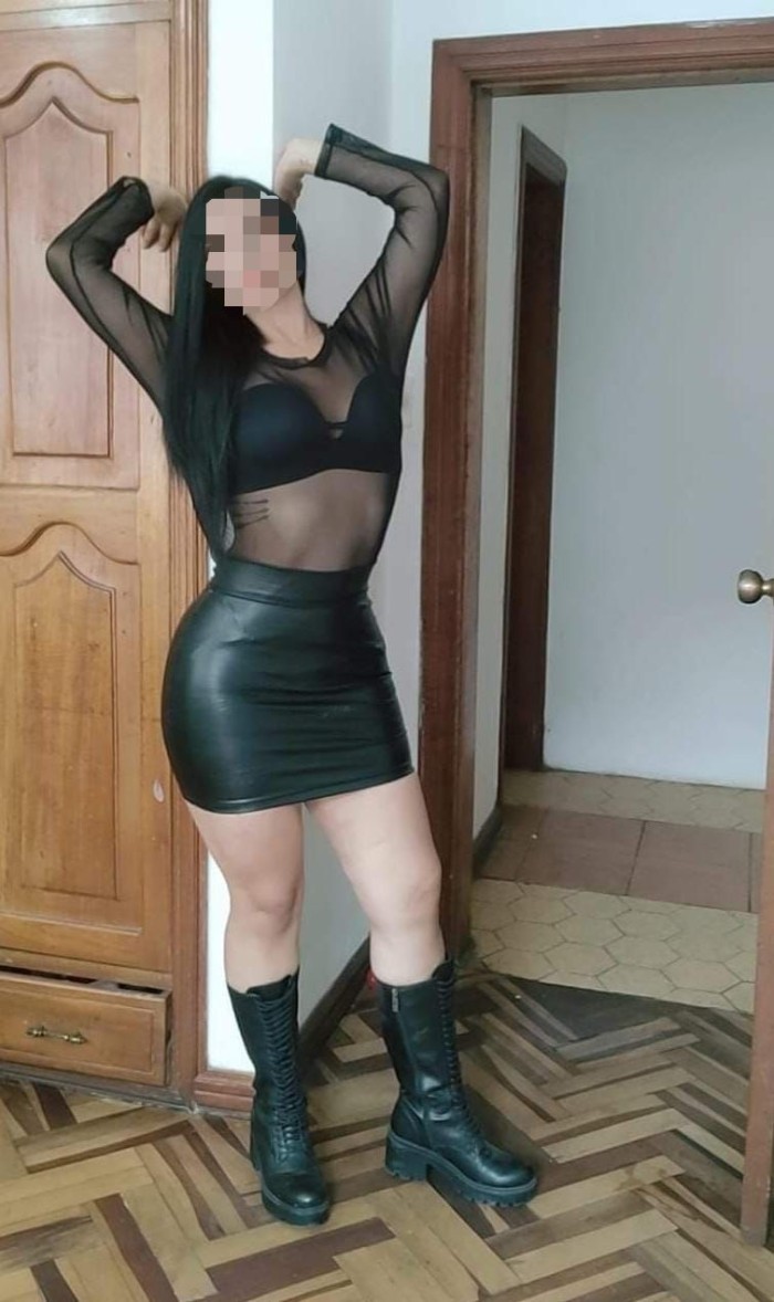 FIESTERA NOVEDAD