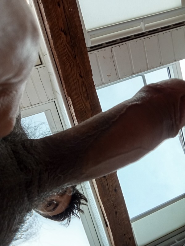 Machote Activo para Pasivos Sumisos