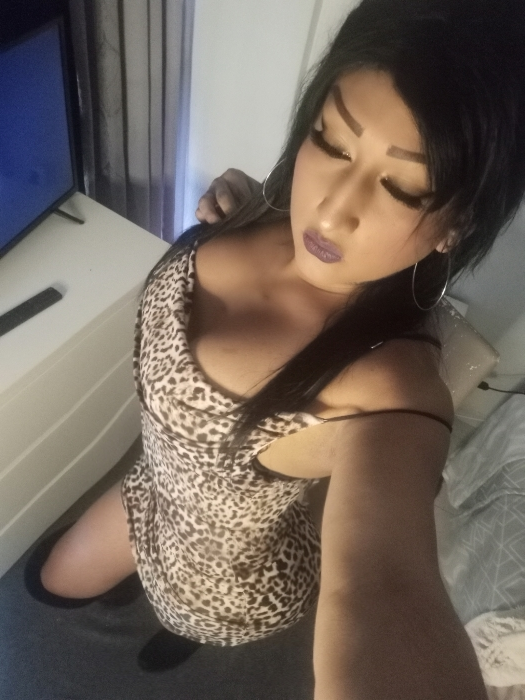 Hola soy pala una chica transexual. En cartagena