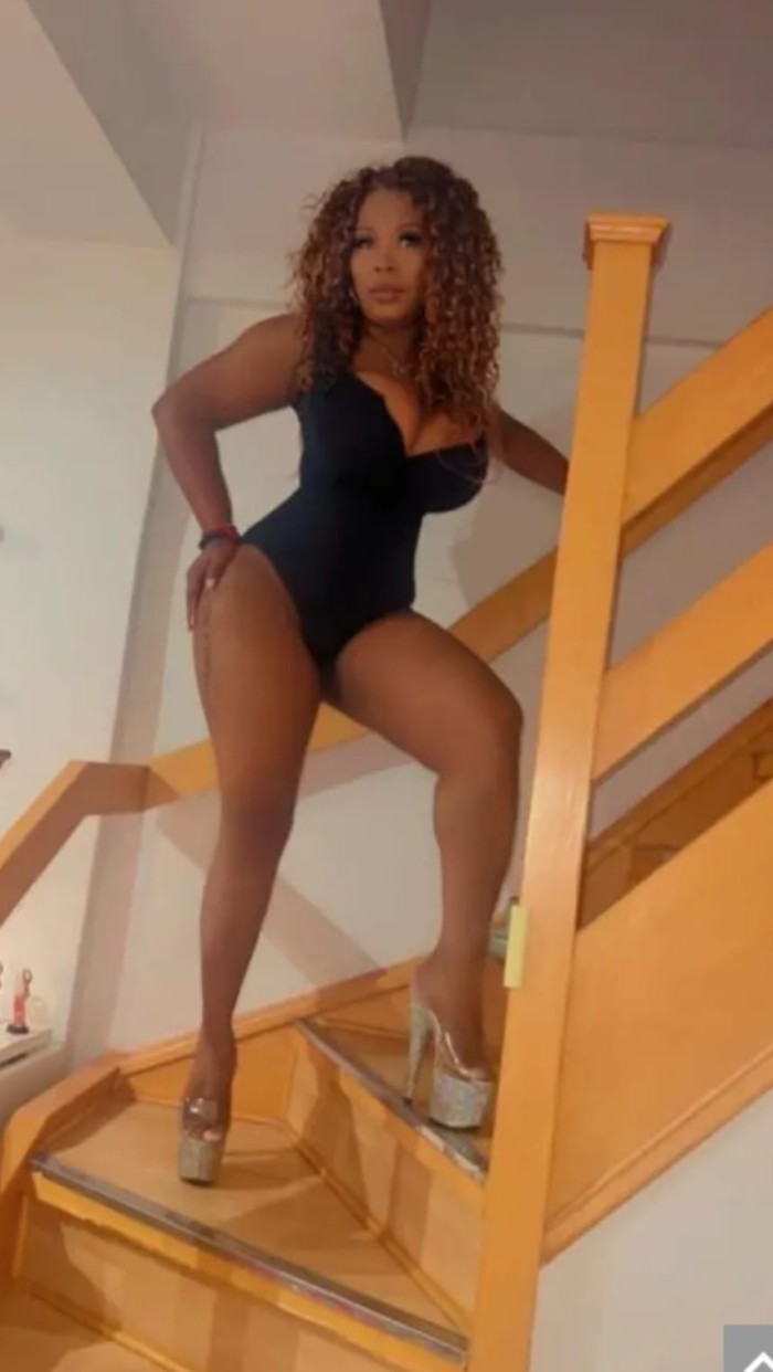 Novedad Latina Caliente Ardiente Fiestera Cañera